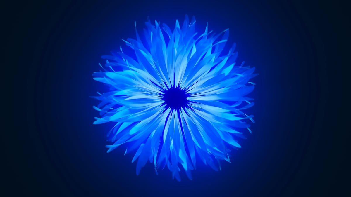 unsplash_ojvncn1pnF4