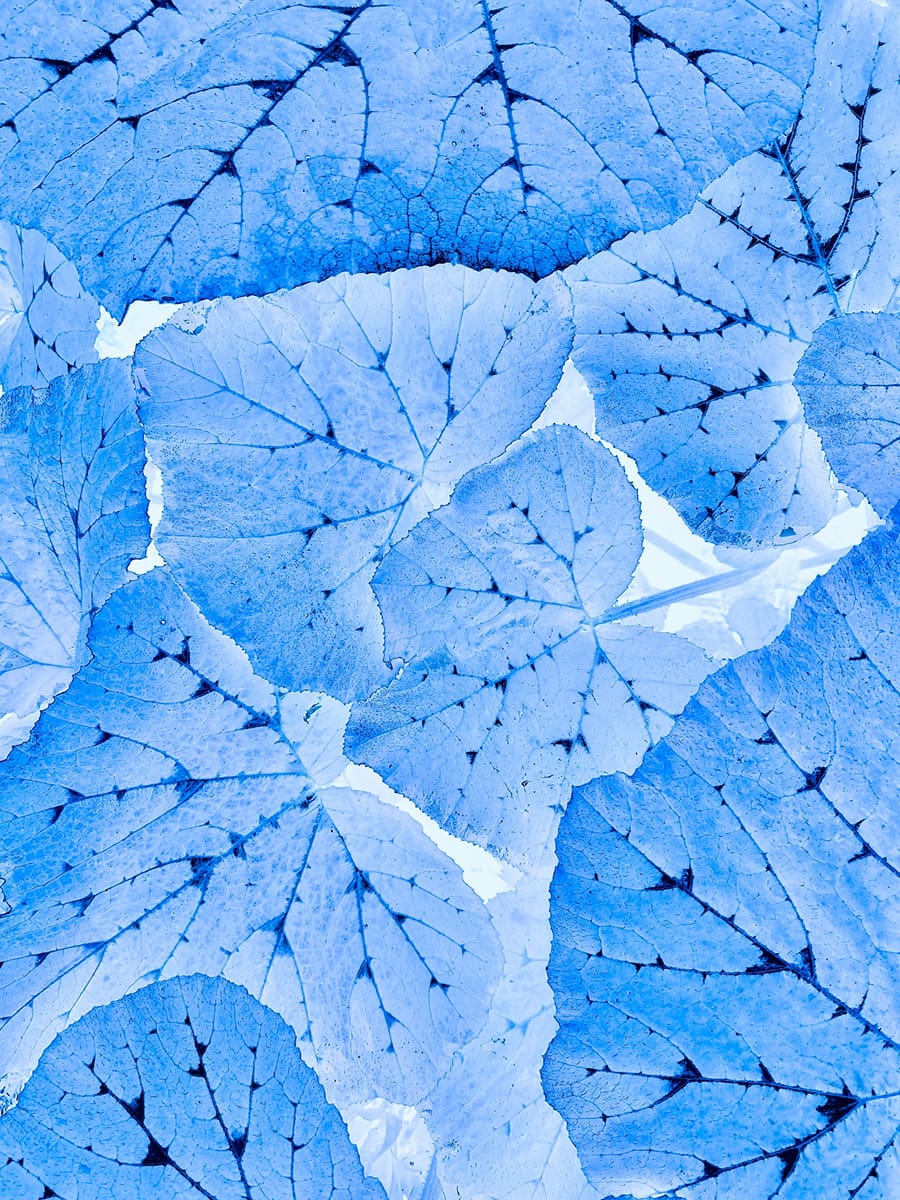 unsplash_rgSy-1XXWgg